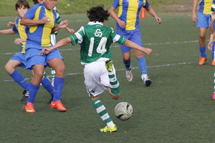 开yun体育-中国足球亚冠：上海申花逆转晋级，燃爆现场热潮，亚冠小组赛上海申花